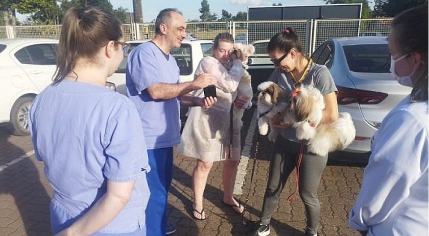 Paciente do Hospital Regional recebe visita de seus animais de estimação