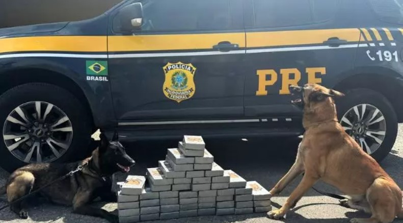 Homem foge de fiscalização no PR e é preso com 53 quilos de cocaína em SC