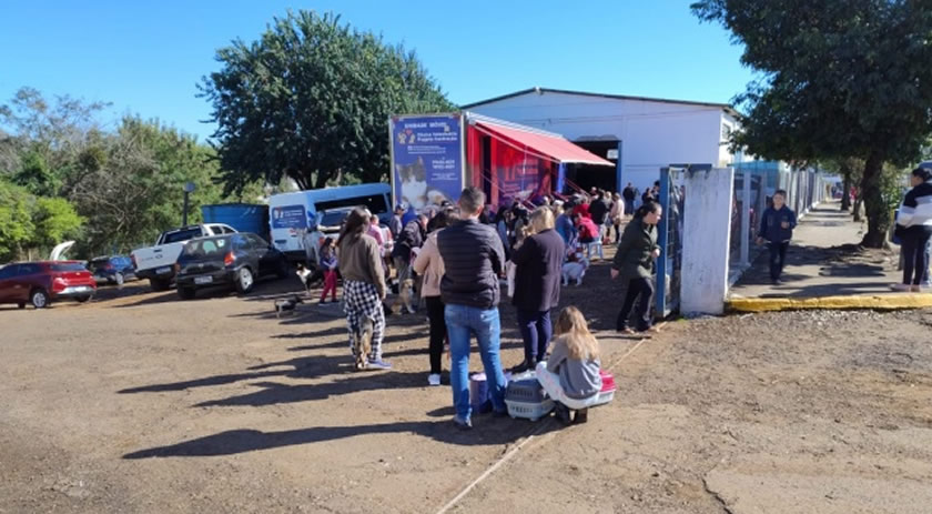 Campanha de castração de animais domésticos acontece nesta terça