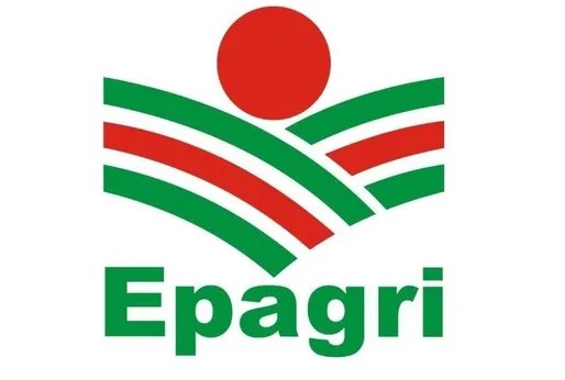 Analista da Epagri aponta baixo impacto na venda de carne com tarifa de Trump