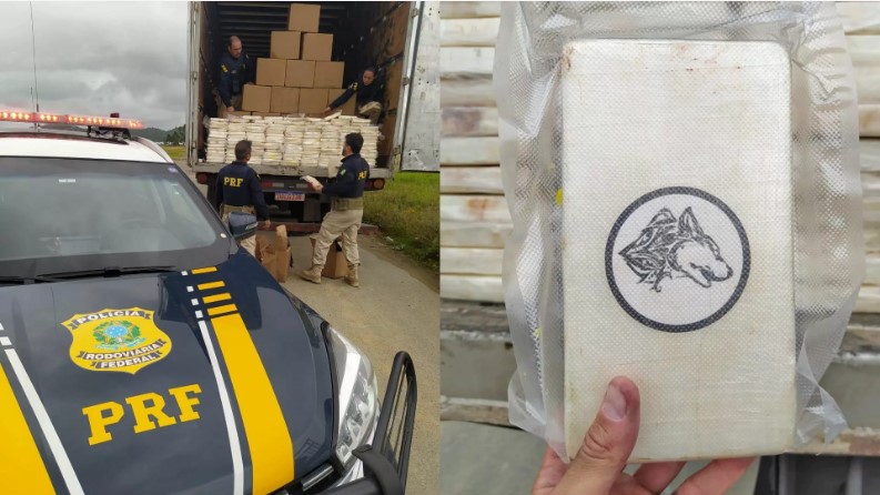 FICCO/SC apreende 1,3 tonelada de drogas em caminhão na BR-101 em SC