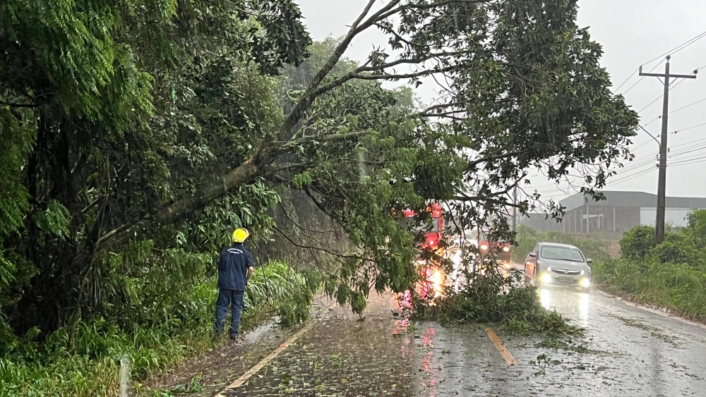 Chuva com ventos fortes derruba árvores e mobiliza Bombeiros em Descanso