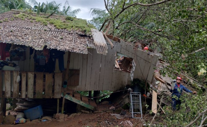 Residência com mulher grávida e duas crianças é atingida por árvore em SC
