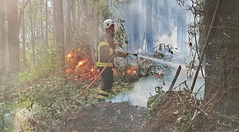 Bituca de cigarro pode ter iniciado incêndio em vegetação no interior de Irani