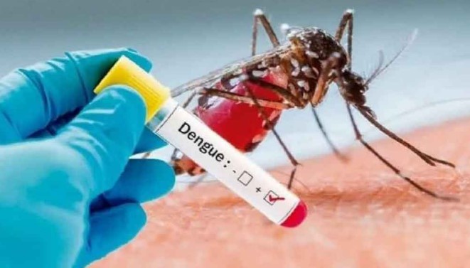 Brasil ultrapassa 1 milhão de casos prováveis de dengue em 2025