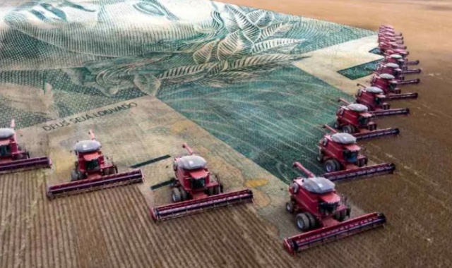 Cooperativas propõem Plano Safra de R$ 674 bilhões e defendem mais crédito para o agro