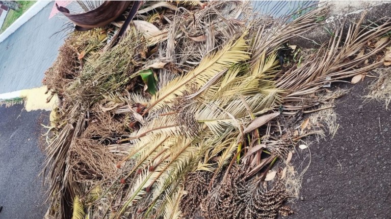 Secretaria de Urbanismo reforça que município não fará recolha de resíduos de áreas particulares