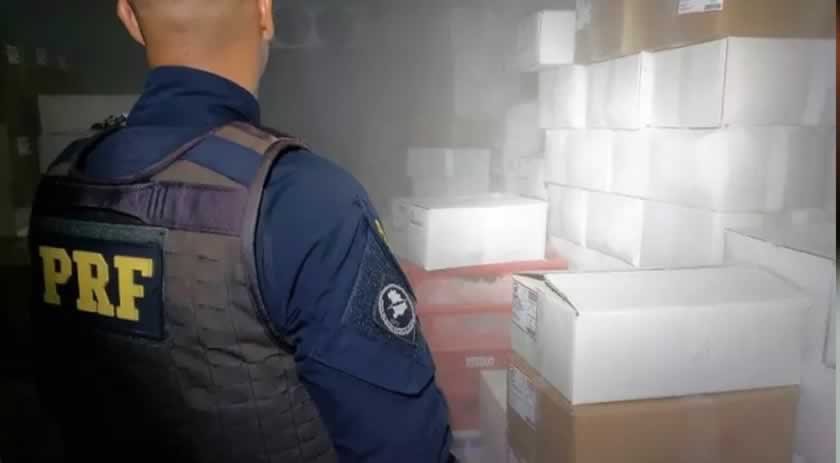 Quatro toneladas de camarão contrabandeado da Argentina são encontradas em SC
