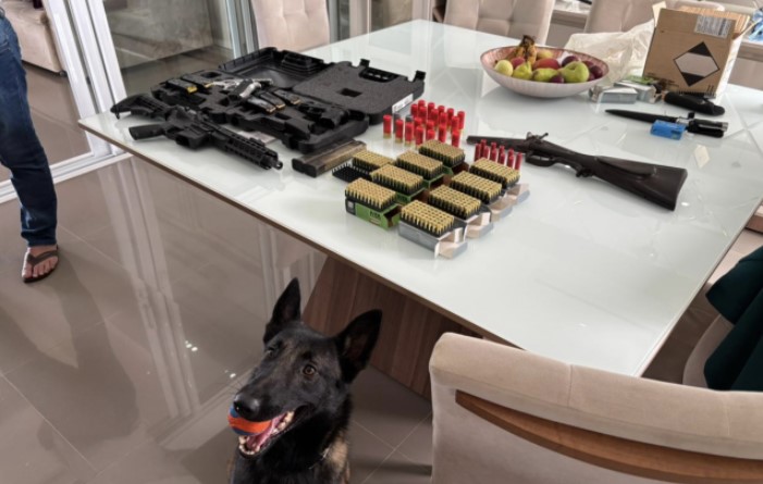 Polícia Civil e Polícia Militar Apreendem Armas de Fogo e Grande Quantidade de Munição