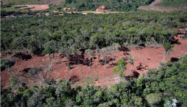 Desmatamento ilegal atinge 285 hectares em SC, aponta Operação Mata Atlântica