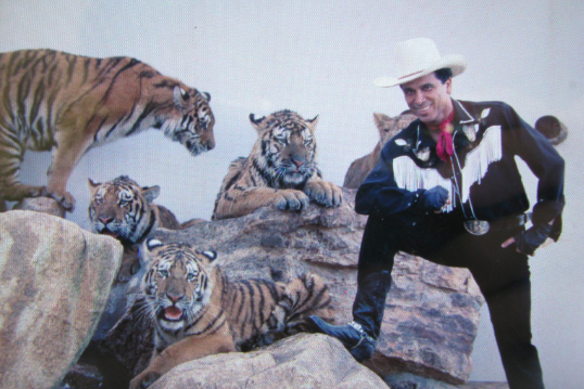 MP fiscaliza destino de animais do zoológico Beto Carrero em SC