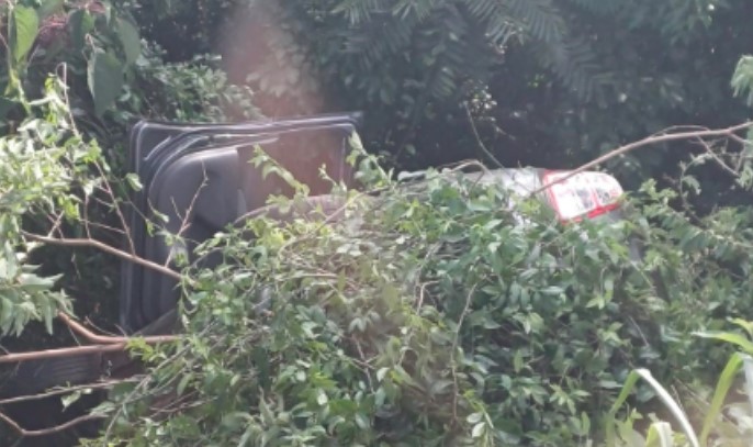 Casal é atacado por enxame de abelhas após acidente de trânsito