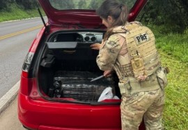 PRF apreende mais de 100 quilos de maconha durante fiscalização