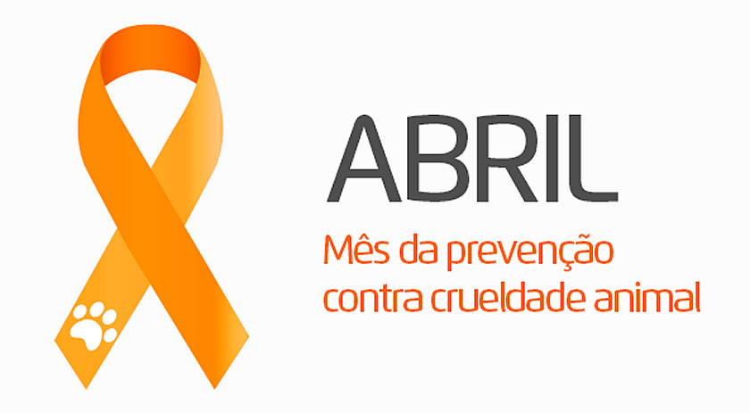ONG Ame Bicho faz alerta sobre o aumento de casos de abandono