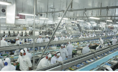 Exportadores brasileiros de carne de frango promovem setor no Catar