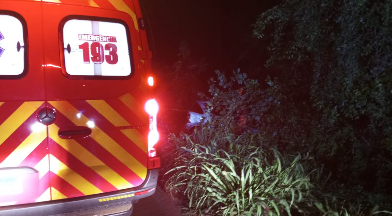 Motorista fica ferido após saída de pista na BR-282