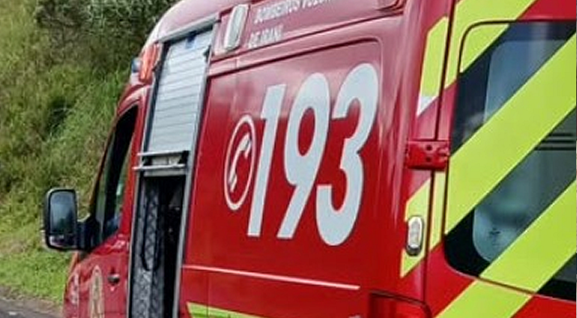 Trabalhador sofre ferimentos ao ser atingido por galho de árvore no interior