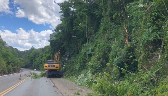 Serviços de poda na BR-282 em Maravilha deixam o trânsito no sistema PARE/SIGA