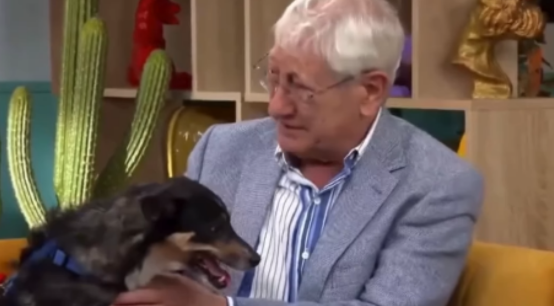 Idoso de 80 anos emociona ao se despedir do cachorro por não conseguir mais cuidar dele