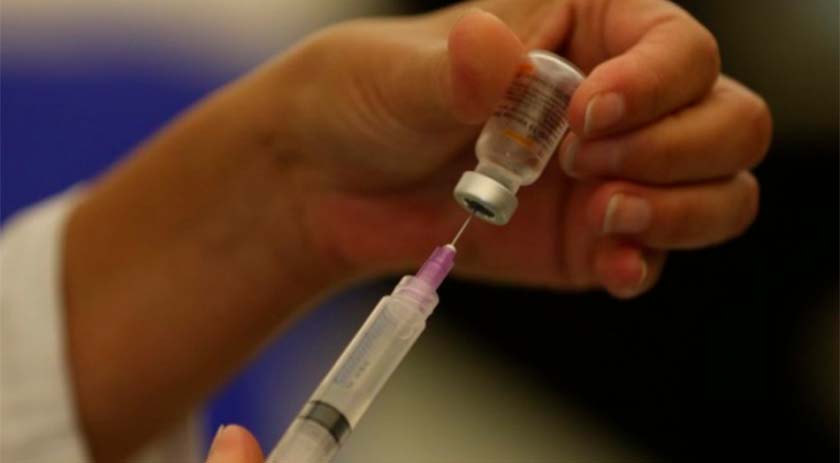 Nova vacina contra a dengue deve chegar ao mercado no 2º semestre, diz laboratório