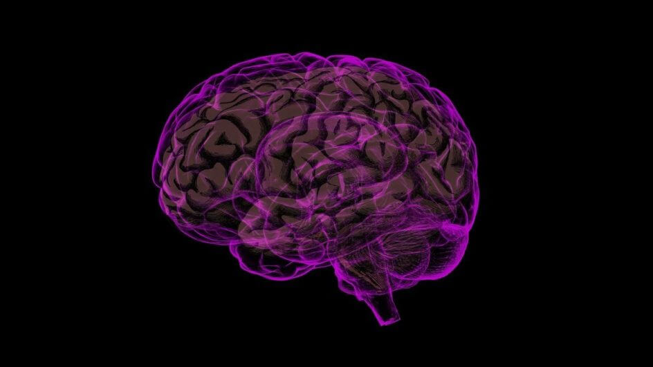 SC está entre os 10 estados com maior número de pessoas superdotadas