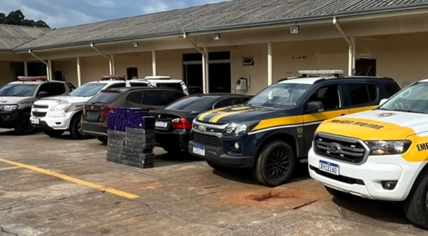 Ação conjunta PRF, PM e PMRv apreende 311 kg de maconha