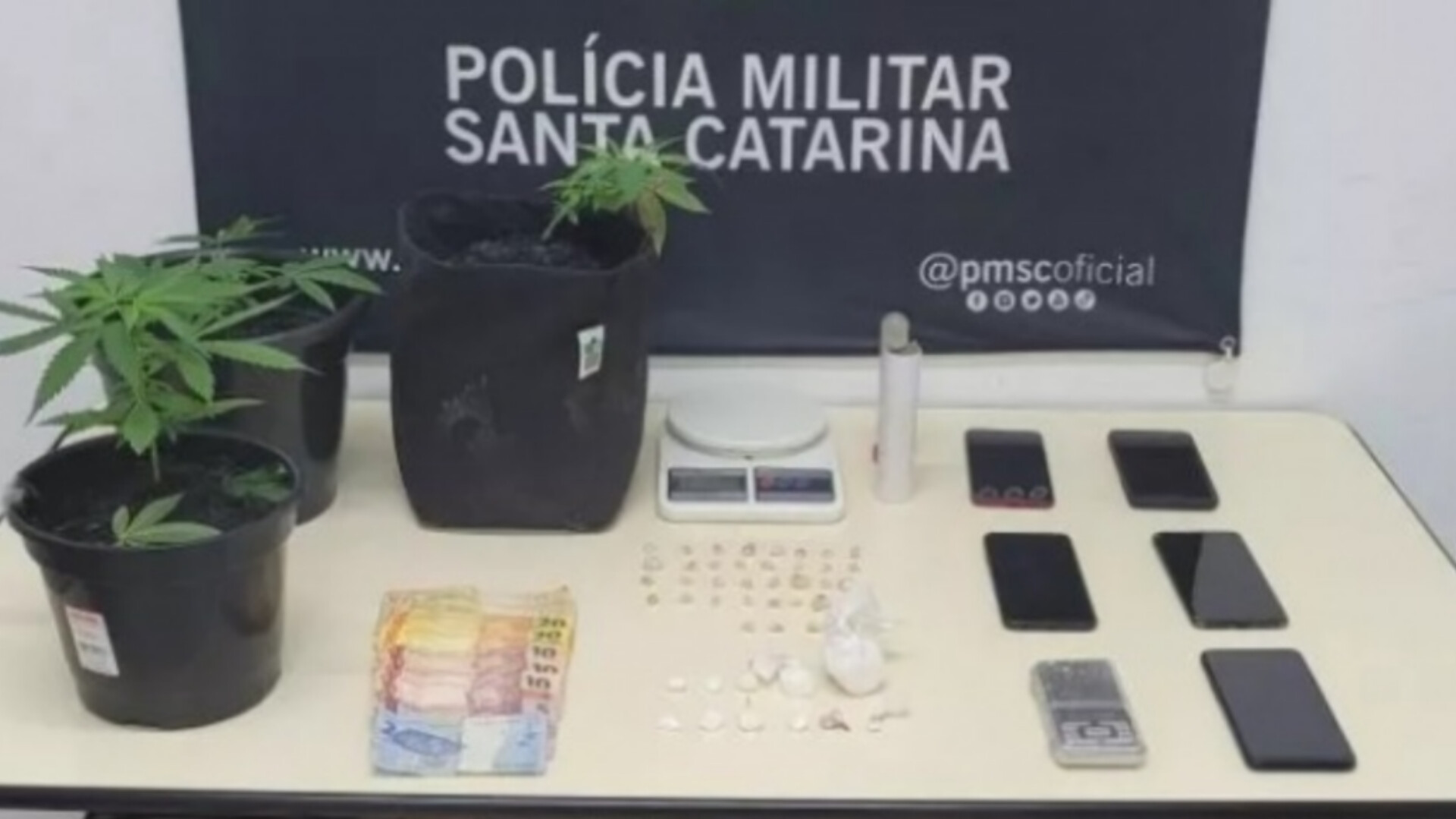 Cheiro forte chama a atenção e estufa de maconha improvisada em apartamento é descoberta em SC