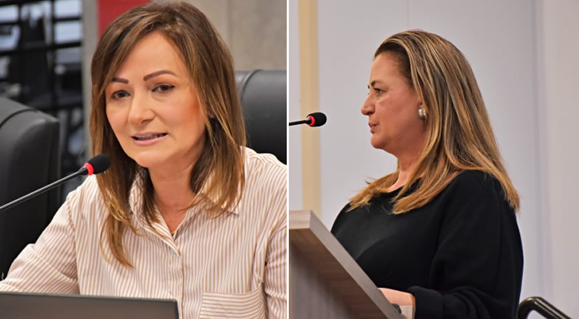 Moção pede que Administração Municipal promova festas carnavalescas no município