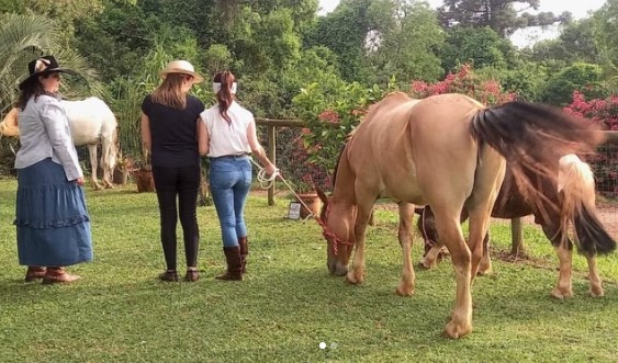 Terapia com cavalos transforma rotina emocional de mulheres no Oeste