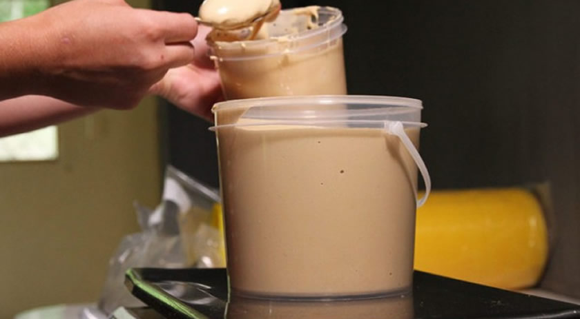 Epagri incentiva produção de derivados de cana-de-açúcar