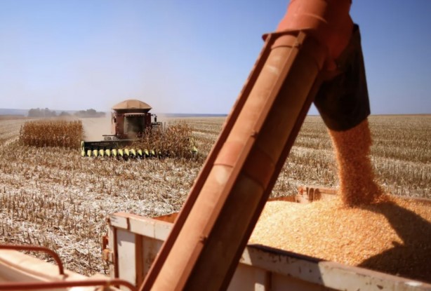 Safra de grãos 2025/26 pode bater recorde com estimativa de 358,6 milhões de toneladas