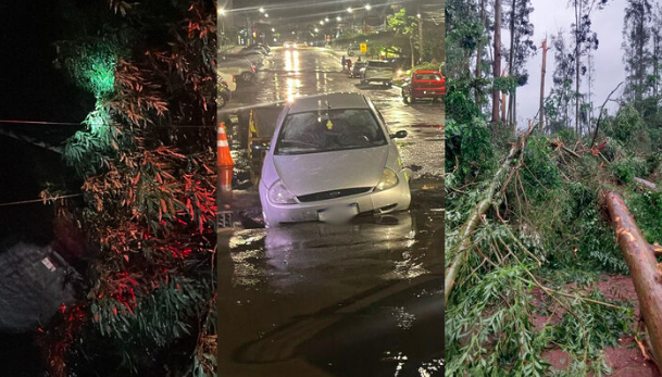 Chuva intensa e vento forte derrubam árvores e cratera se abre no Oeste de SC