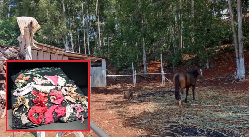 Dezenas de calcinhas são encontradas em local onde pode ser ocorrido zoofilia