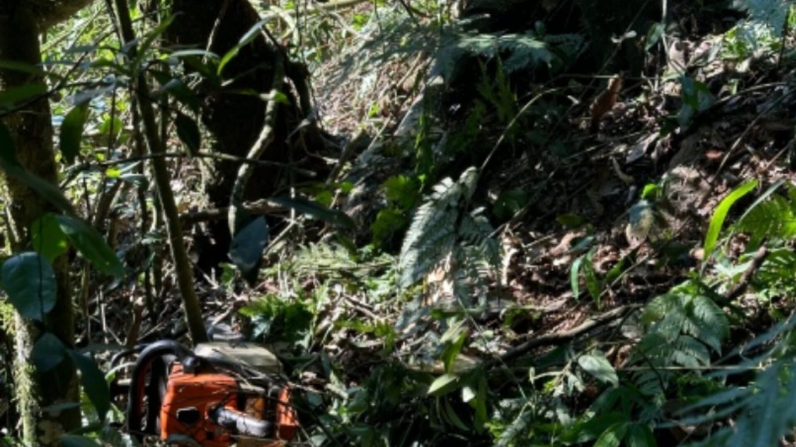 Idoso é encontrado morto em ribanceira no interior de Caibi