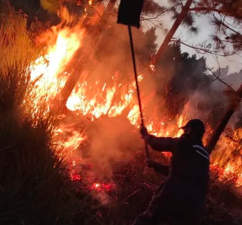 Incêndio na maior unidade de conservação de SC é extinto