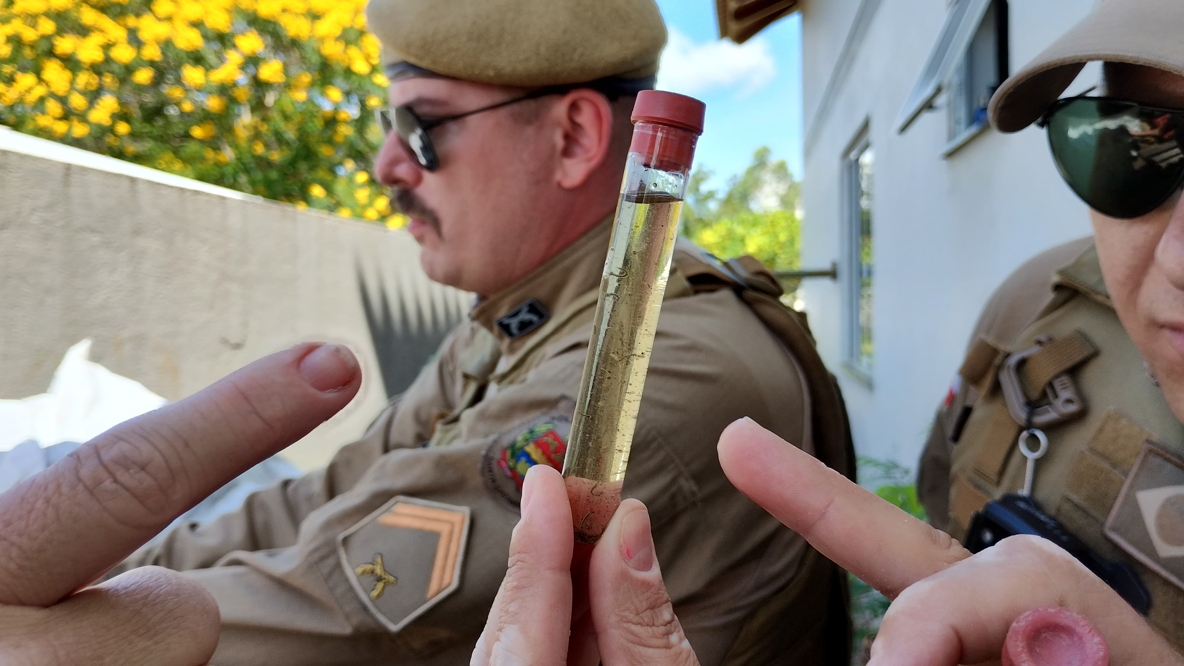 Número de casos confirmados de dengue chega a 40 em São Miguel do Oeste