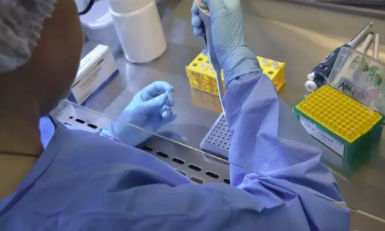 Nova variante da covid-19 é encontrada em SC e cientista alerta para maior risco de transmissão