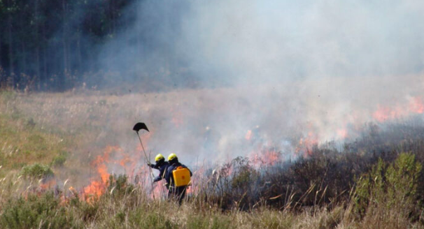 SC registra 1,3 mil focos de incêndio em 2024 e supera total do ano passado