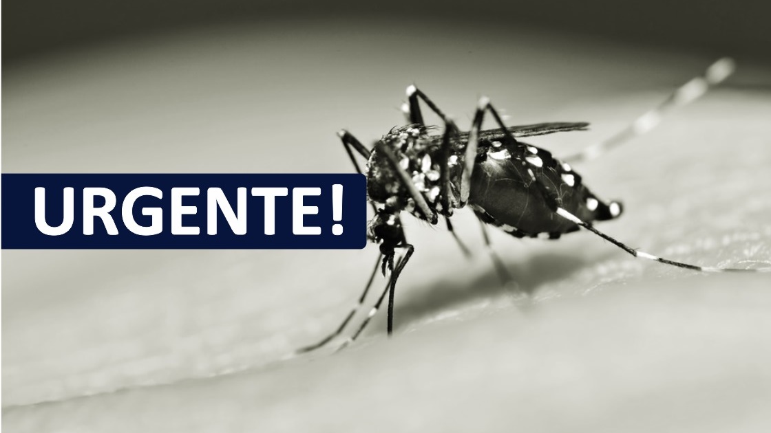 Santa Catarina bate recorde de casos de dengue e registra 213 mortes