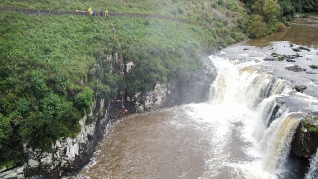 Bombeiros levam 3 horas para salvar cão que caiu em cachoeira