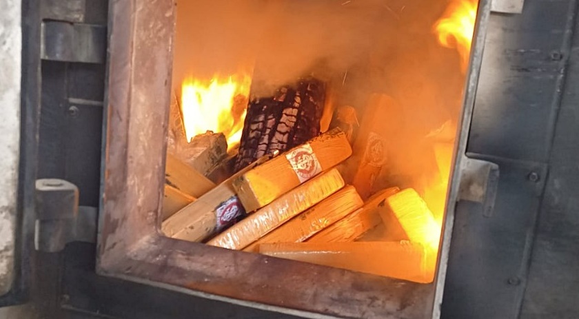 Polícia Civil incinera aproximadamente 500kg de maconha