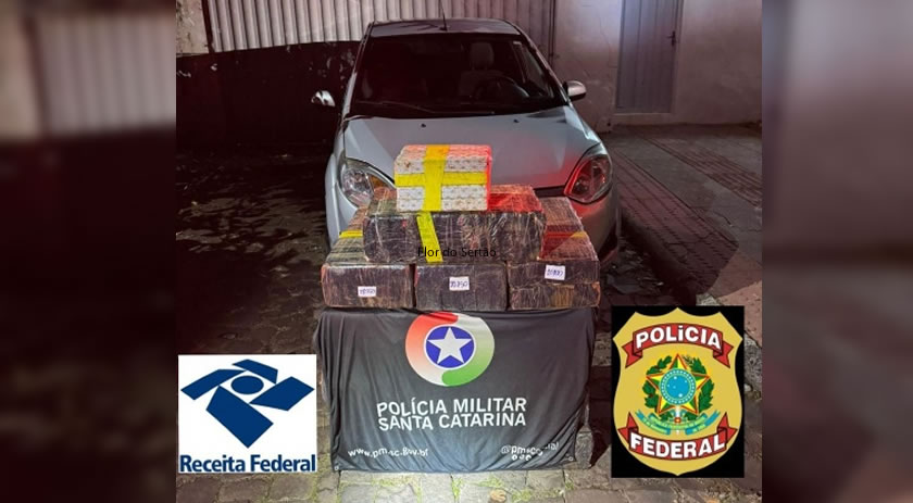 Operação policial apreende mais de 320 quilos maconha