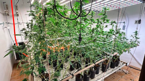 Imóvel de alto padrão servia como laboratório de drogas em SC