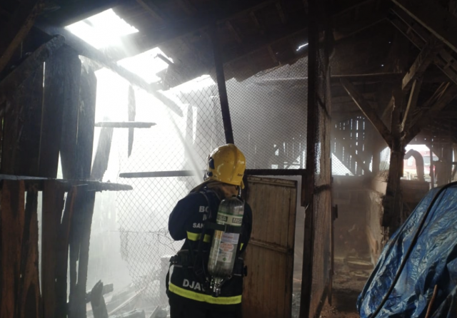 Incêndio atinge galpão e mata 35 galinhas no interior