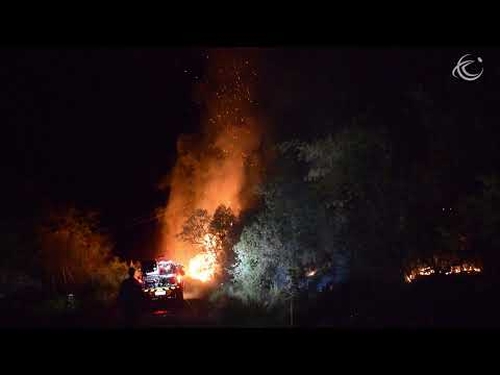 Bombeiros combatem incêndio por mais de 10 horas em área de reflorestamento