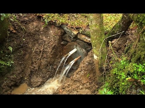Campo - Dia mundial da água: conheça tecnologias da Epagri que preservam o recurso