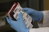 Estoques sanguíneos baixos chamam atenção para doação em SC